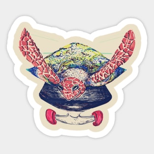 Swifty Turtle Sticker